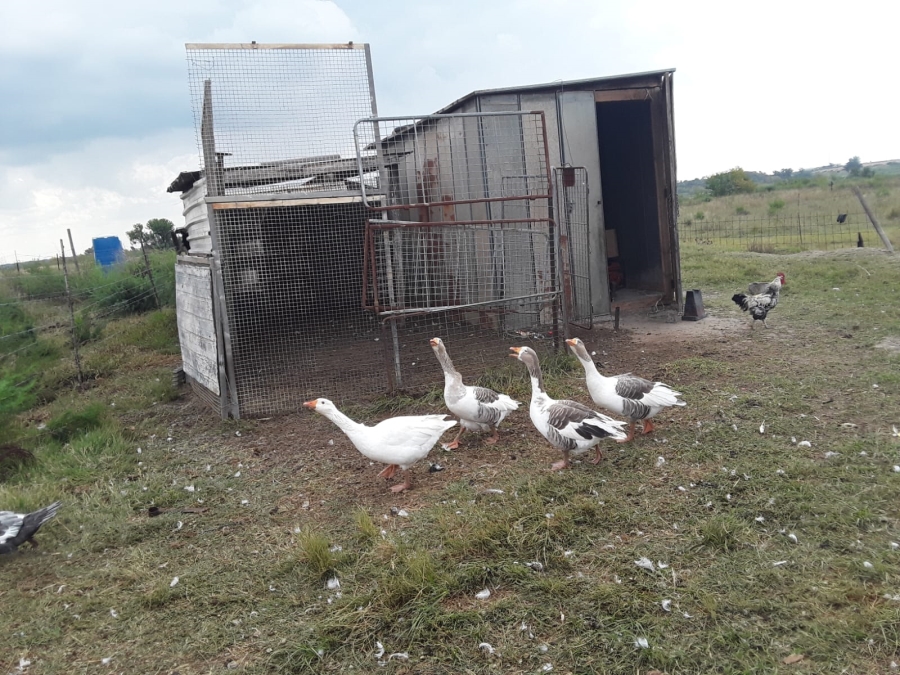 0 Bedroom Property for Sale in Koppies Free State